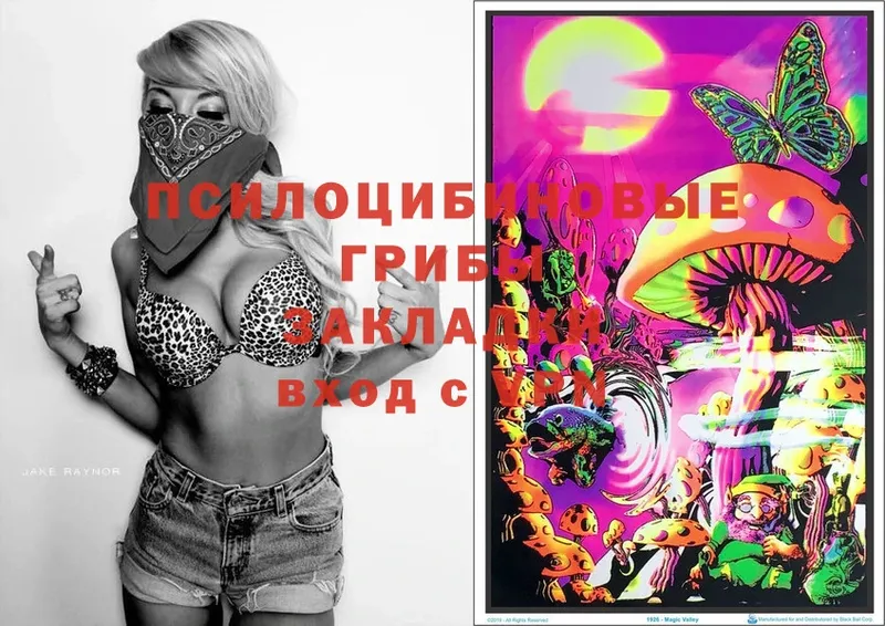 Галлюциногенные грибы Magic Shrooms  Кондрово 